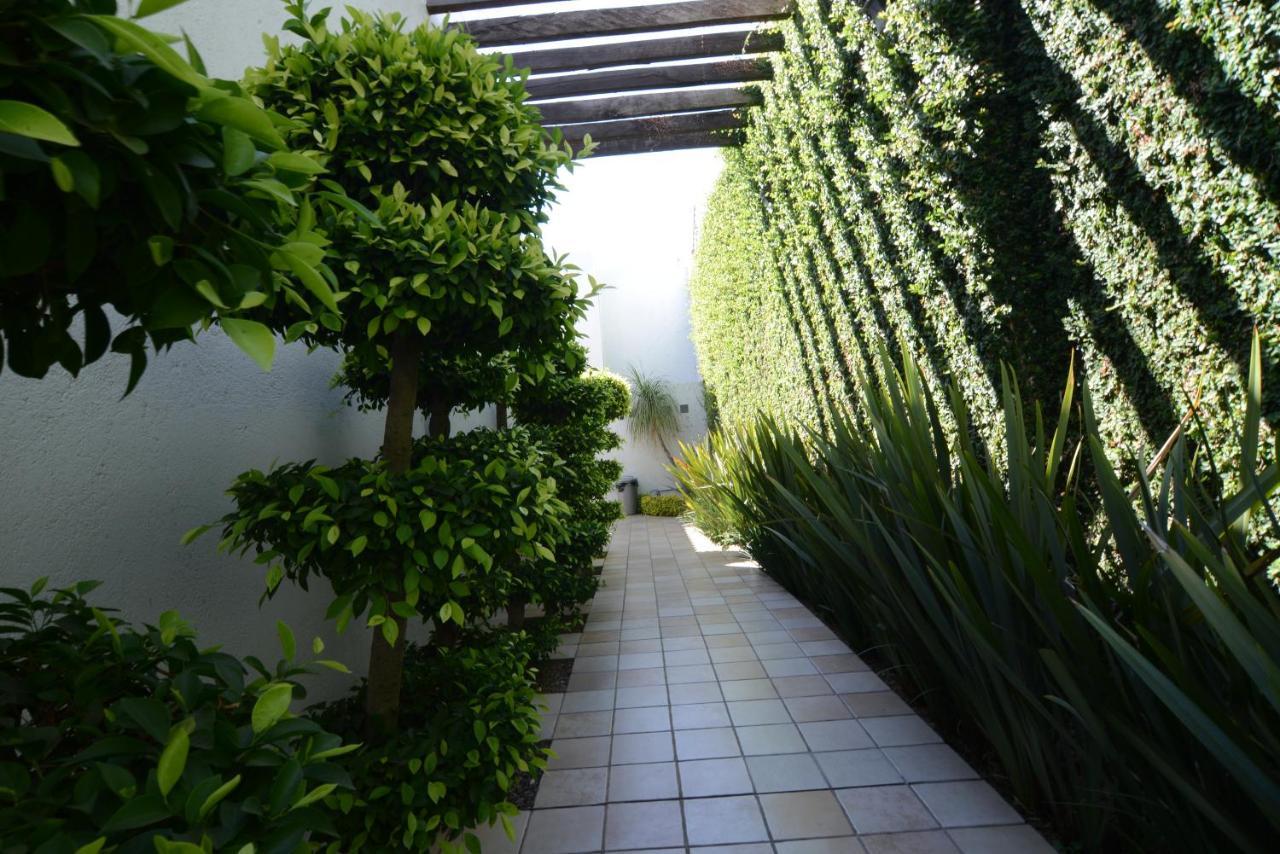 Suites La Fe Oaxaca Екстериор снимка